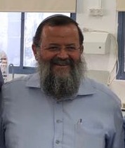 הרב אריה מילס