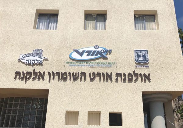 על האולפנא